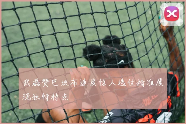 武磊赞巴坎布速度惊人选位精准展现独特特点